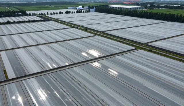 网络覆盖优化中的流程管理实践与维护建议