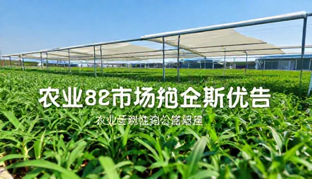 市场分析报告中系统操作常见问题及应对策略